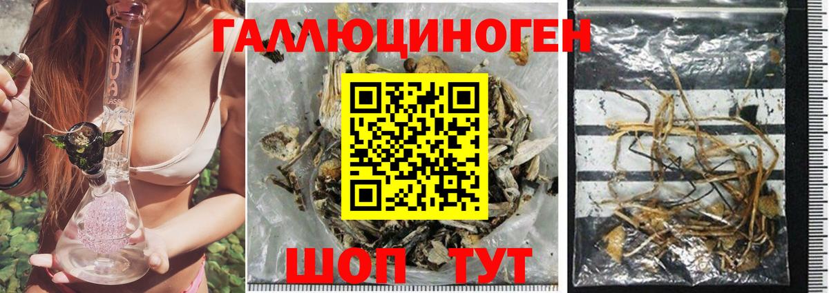 Галлюциногенные грибы Magic Shrooms Кудрово