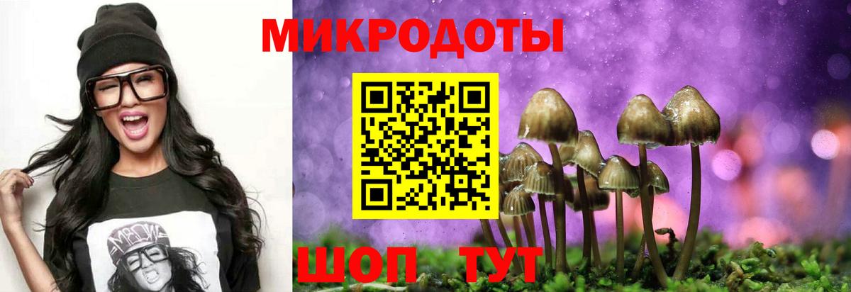 Галлюциногенные грибы GOLDEN TEACHER  Вход с VPN  Кудрово 